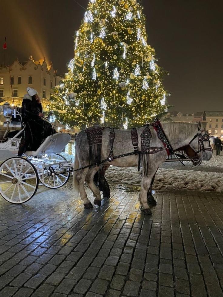 Pszczelna Apartment Kraków Zewnętrze zdjęcie